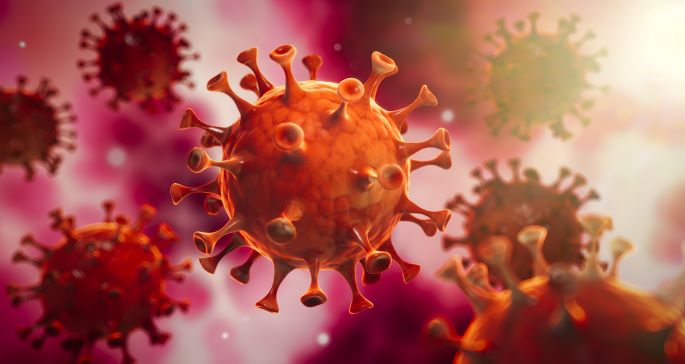 Coronavirus Correction: Where Does it Leave You?
