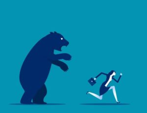 How to Survive a Bear Market?